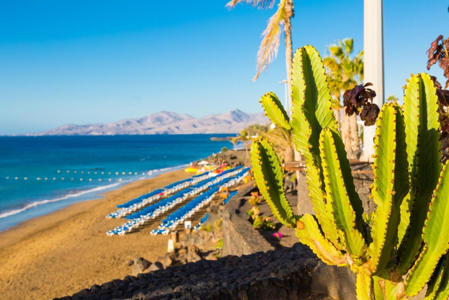 Appartement Jardines 1 Puerto del Carmen (Lanzarote)